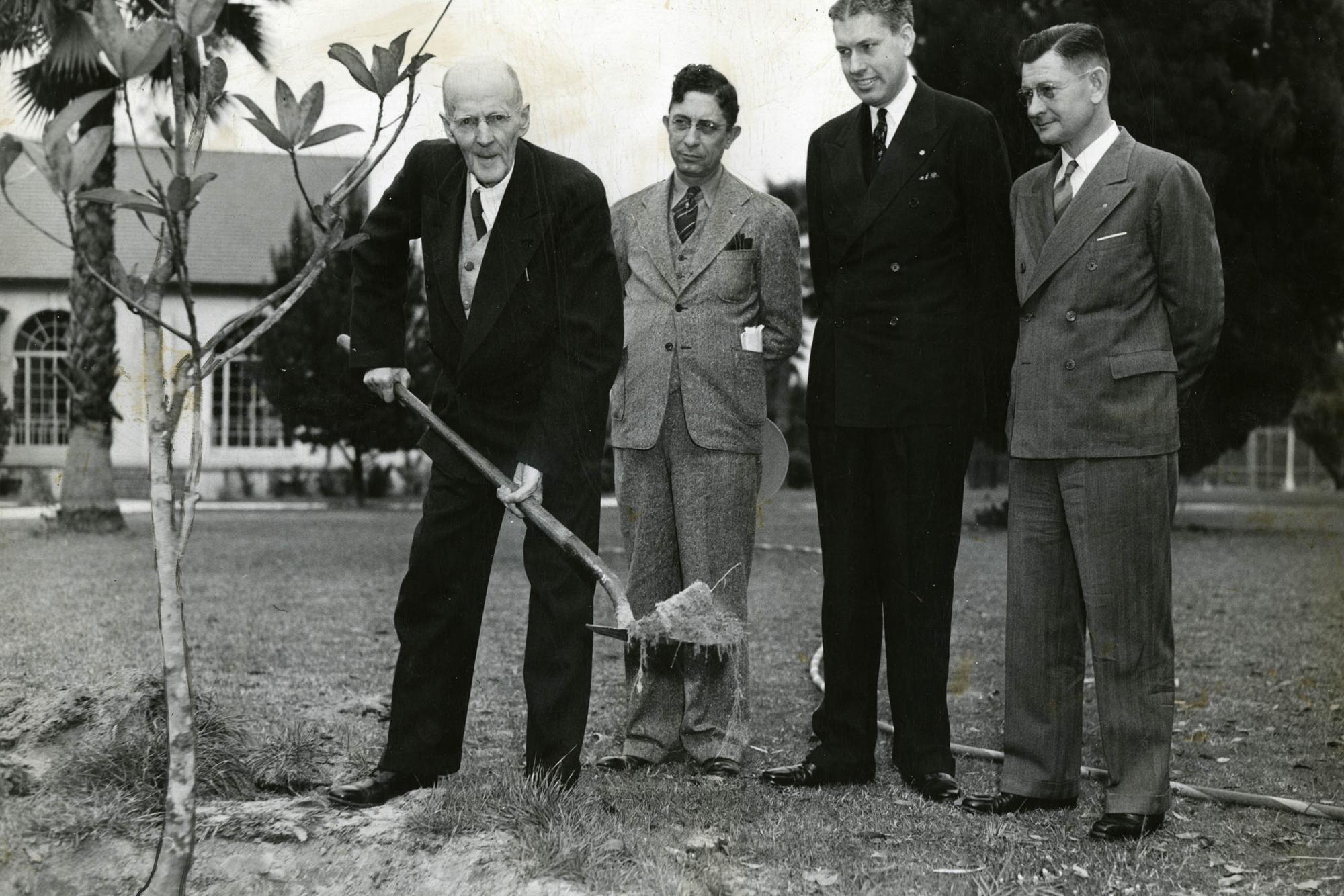 Friendship Trees | Rotary International