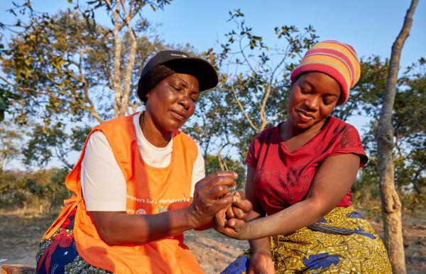 Relatório de progresso: Parceria pelo Fim da Malária na Zâmbia